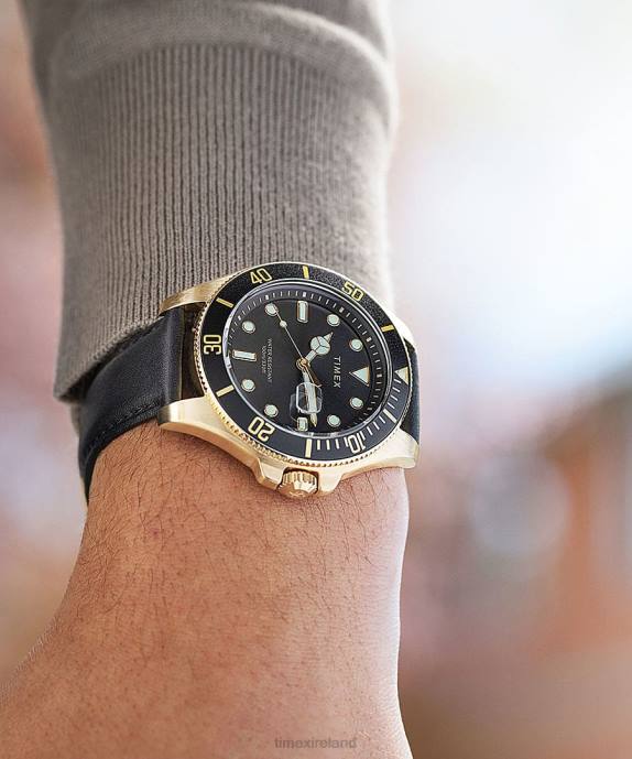 Watches | Gold-Tone/Black Men Timex Harborside Coast 43mm Leather Strap Watch R6JT132