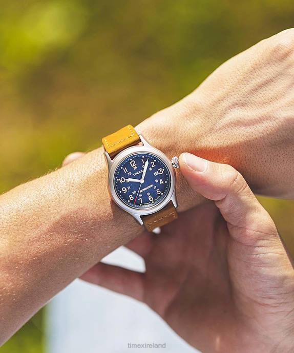 Watches | Stainless-Steel/Blue Men Timex Expedition North Sierra 40mm Leather Strap Watch R6JT213